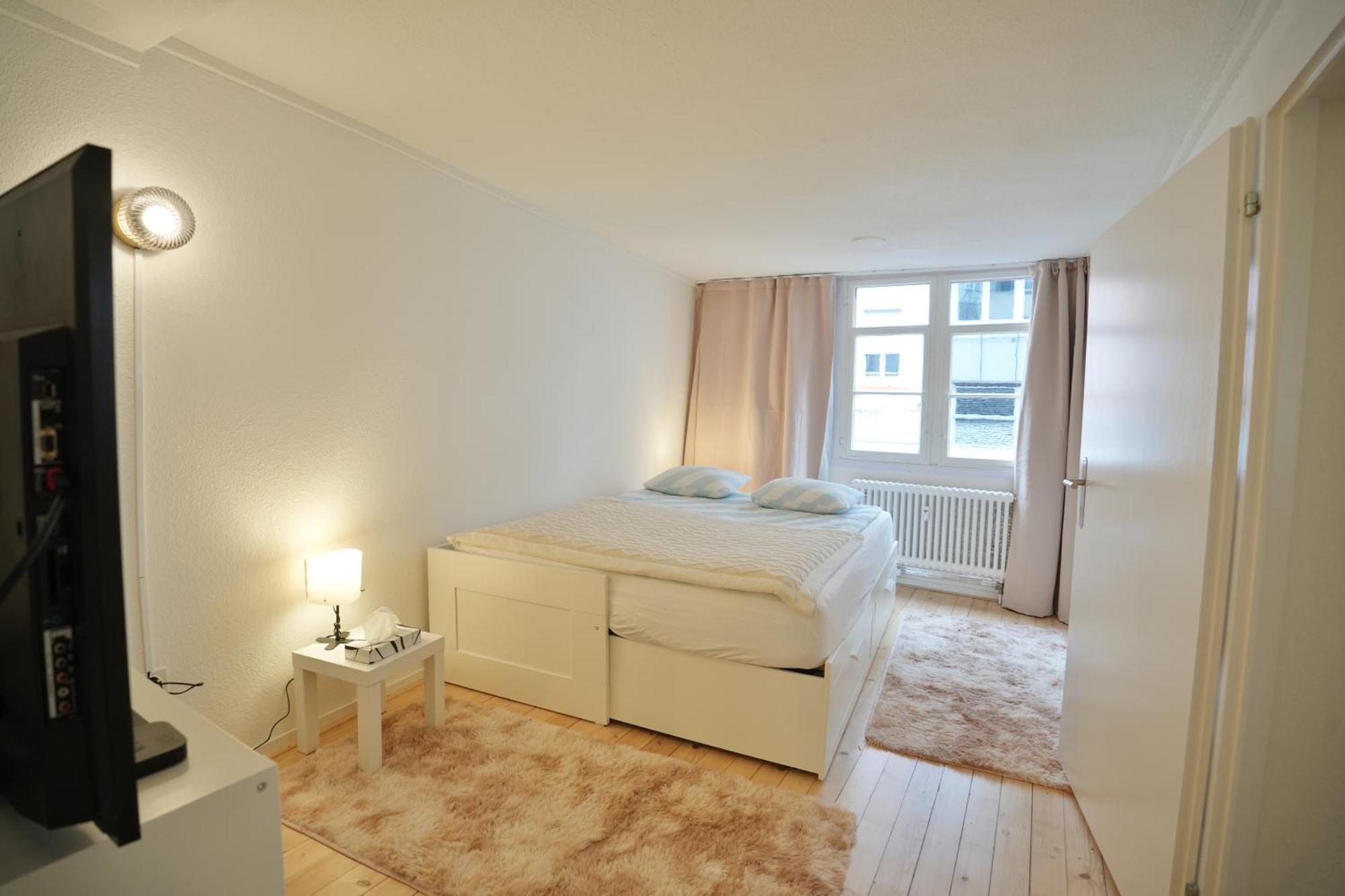 Cozy City Center, 4 Bedroom- 120Sq, 5Min Walk To Main Station Basilea Esterno foto